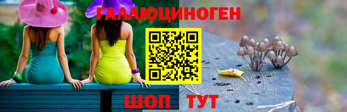 Кушва  Псилоцибиновые грибы мухоморы  закладка  Вход с VPN 